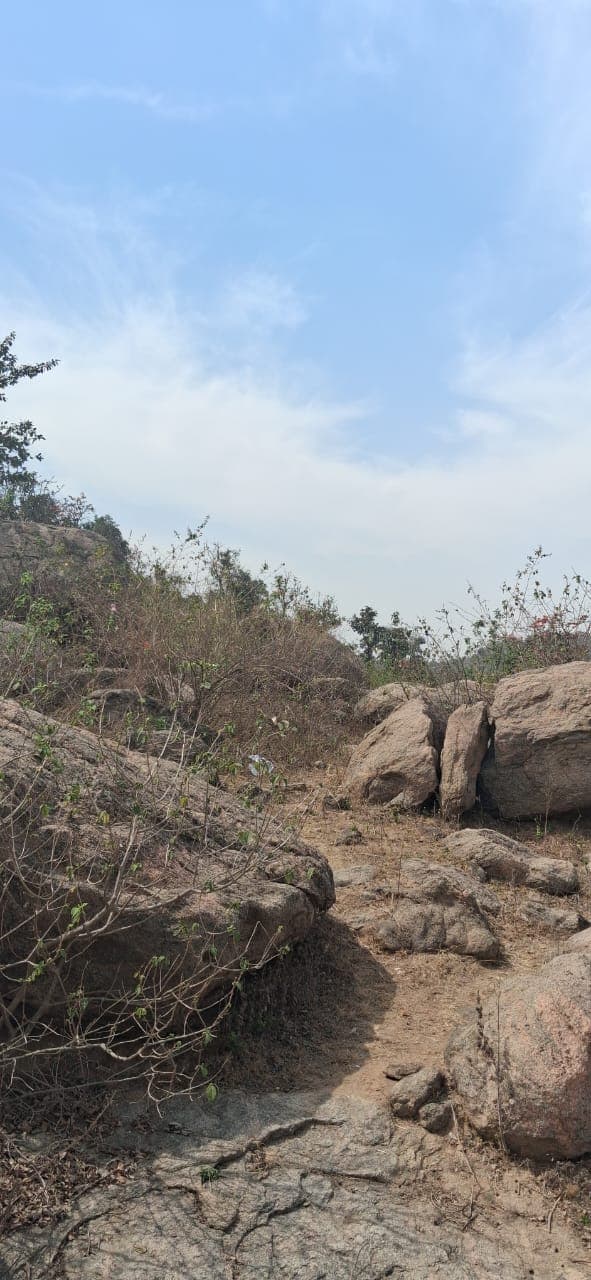 Hillside mining area